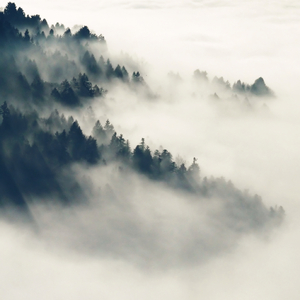 动漫男女扒开双腿猛进入免费视频
